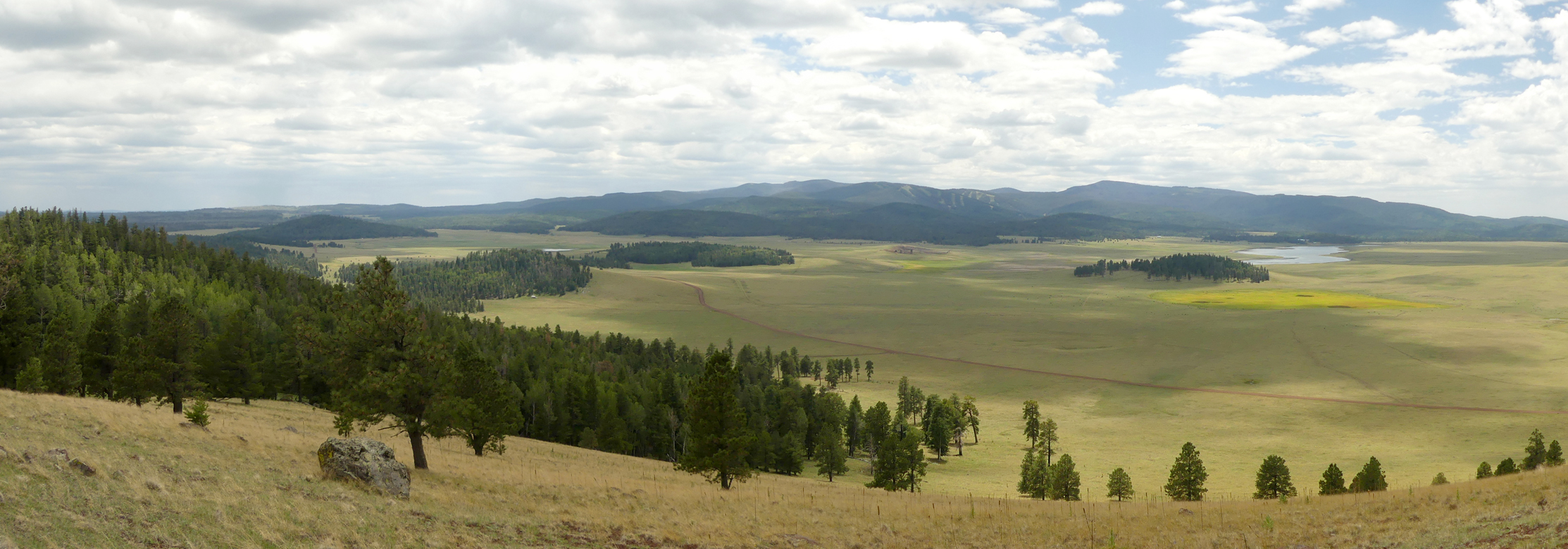 Pole Knoll panorama